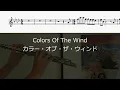 【フルート・楽譜】ポカホンタス| カラー・オブ・ザ・ウィンド| Colors Of The Wind(From Pocahontas)| Flute Cover