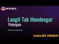 Download Lagu Peterpan - Langit Tak Mendengar ( Karaoke )