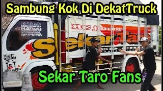 Download Tak Di Sangka Pemilik Truck Mbois Ini Adalah WARGA !!!!! Mas Paijo Fans SEKAR TARO. MP3