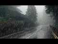 Download Lagu Wonderful Rain Sound for Sleep, Relaxing, Study, Meditation - Rain in Misty Forest