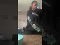 Ebony Loud Chair Farts