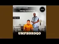 Download Lagu Umphokoqo (feat. Imbongi Yasebukhosini)