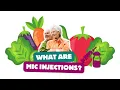 Ep 22 What are MIC Injections