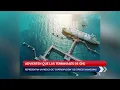 El riesgo al Golfo de California por especies invasoras Equal Routes