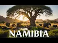 Lagu Wonders of Namibia | The Best Places in AFRICA | Travel Video 4K
