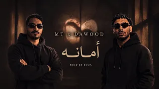                       أم تي و داوود   أمانه دندنها