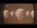 Dillon Francis - Goodies (Lyrics)