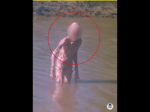 Watch these videos once #viral