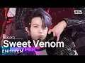 Download Lagu ENHYPEN(엔하이픈) - Sweet Venom @인기가요 inkigayo 20231203