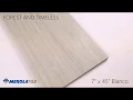 Merola Tile Forest and Timeless
