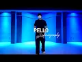 창모 (CHANGMO) - SMF | PELLO choreography