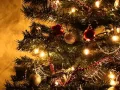 Download Lagu Oh Christmas Tree - Boney M (Merry Christmas and a Happy New Year!)