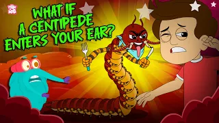 Myth vs Reality | What If a Centipede Enters Your Ear? | Centipedes Facts For Kids | Dr. Binocs