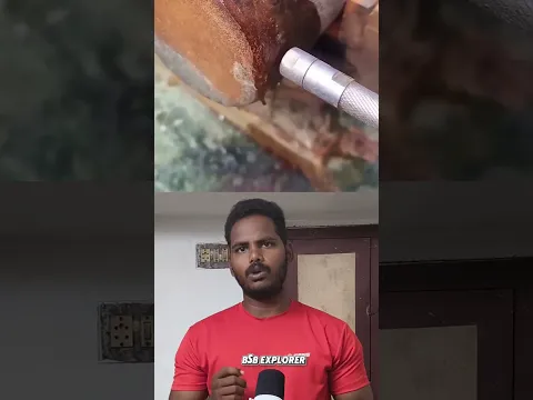 கடைசி வரைக்கும் பாருங்க/BSB EXPLORER/#bsb #trending #shorts #facts #tamil #explore #viral #info