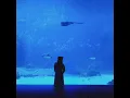 Mattyeux Princess Chelsea - Sometimes chelsea part only slowed best part only slowed
