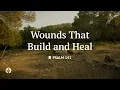 Wounds That Build and Heal Reading Our Daily Bread Devotional August 16 2026