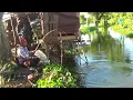 Download Lagu Ini namanya ikan bergizi dan lezat! Mancing di bawah rumahnya kambing malah panen ikan mas babon²