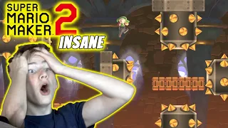 Insane Mario Maker 2 Fan Level