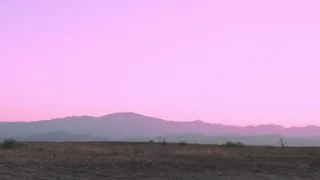 endless summer remix official visualizer 