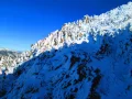Mammoth Dreams