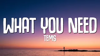 Tems - What You Need (Lyrics)