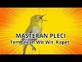 Lagu COCOK BUAT BURUNG PLECI ANDA !! MASTERAN PLECI TEMBAKAN WIT WIT TULIT TULIT RAPET