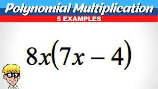 Polynomial Multiplication Algebra