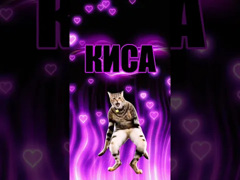 КИСА ШОКОЛАДКА 🐈🤍