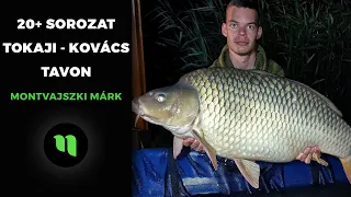 20+ Sorozat a Tokaji - Kovács tavon | Montvajszki Márk