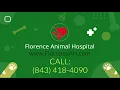 Vets in Florence SC