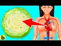 This Happens To Your Body When You Eat Cabbage Every Day