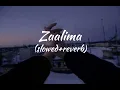 Download Lagu Zaalima full song (slowed+reverb) | Lofi World
