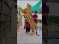 Tiger Ha Cat Ni 💯 #animals #lion #petlover #ytshorts