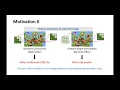 No-Reference Image Quality Assessment Using Dynamic Complex-Valued Neural Model