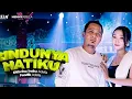 Download Lagu Rindu nya hatiku - difarina indra adella ft fendik adella