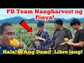Download Lagu Wow😲Daming Pinya! | Libre lang to lahat?