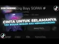 Download Lagu DJ CINTA UNTUK SELAMANYA | TAK BOSAN BOSAN AKU MEMANDANGMU - King Boyy SOPAN