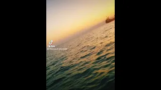 شط الغندور العقبه تصويري 