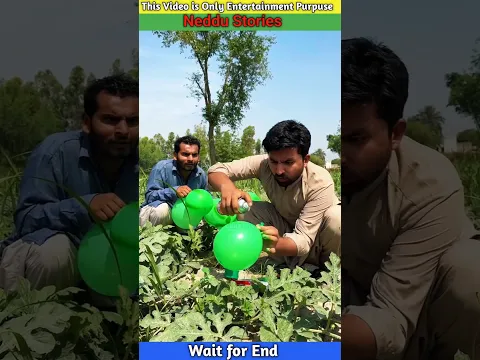 Malik ny Balloon ko Colour ku Kya? #neddustories #shorts