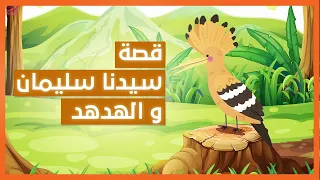 دكان الأطفال سلسلة قصص الأنبياء والصالحين قصة سيدنا سليمان والهدهد 