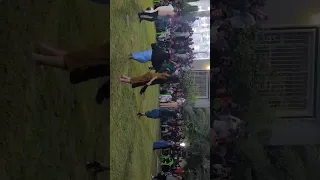 حفله البوعلوان 2025 كاوليه 10 