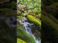 Download Lagu Relaxing music for inner peace, healing meditation music #nature #relaxation #simply #4k #relaxing