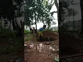 Download Lagu Nasib tukang gali kubur 🤣
