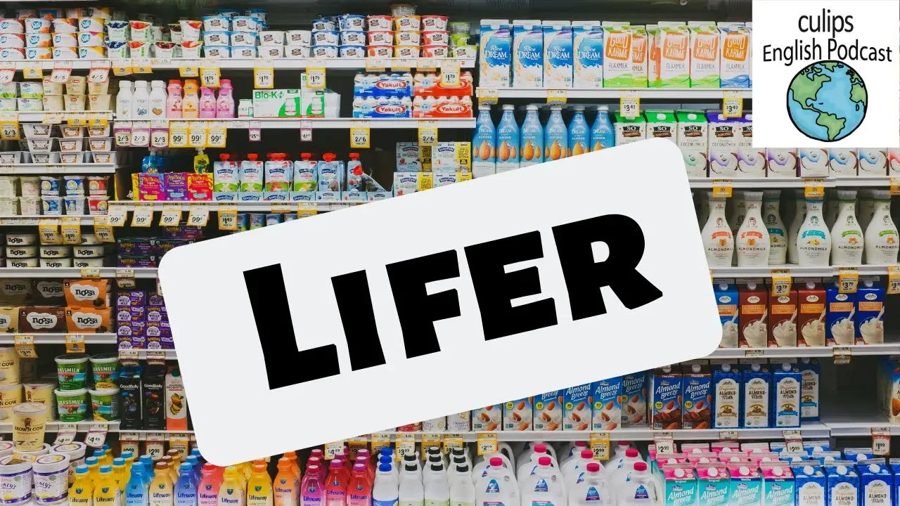 Outline Video 1 Minute English - Lifer