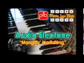 Lagu Audio Electone Bugis - Mangittu' Marilaleng