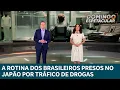Download Lagu Tráfico de drogas leva brasileiros à prisão no Japão | DOMINGO ESPETACULAR