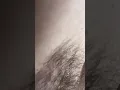 Muscle Hairy chest and armpits worship