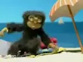 Download Lagu Kartun monyet gila (SPANK)