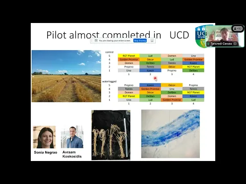 IBH Seminar | Barley Microbes: Their responses to perturbations & environmental gradients