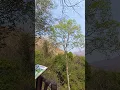 Download Lagu Tackled the ascent of Erawan National Park's seven-tiered waterfalls. #ErawanNationalPark #Thailand